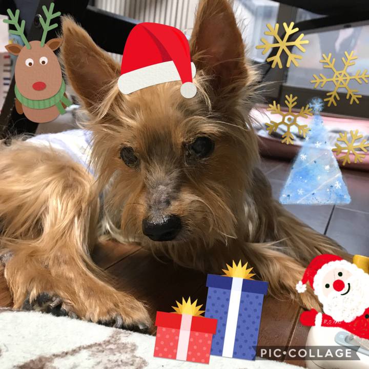 8dfd5c2a eb55 4c5a b9a4 928626023a5d 1513414100222