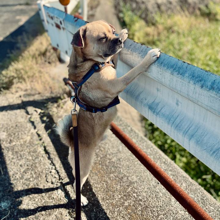 8dfd7019 90a9 4e38 8625 3bc3861034f1 1763192855986