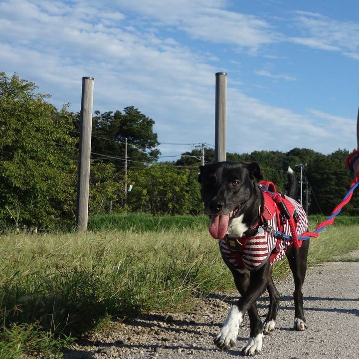 8dfd7232 541b 4023 8904 d427b2f97dcc 1599608253517