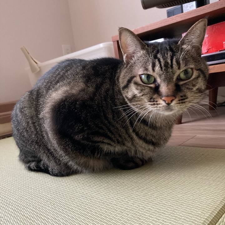 8dfd758c 2a08 4368 a164 549fd3cea406 1605662871644