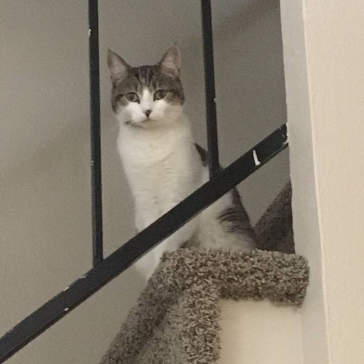 8dfd7f1a 2be4 4735 b68e 42da5e7a18ca 1633922863707