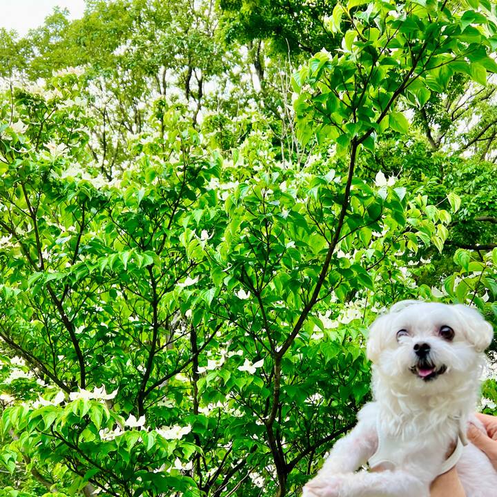 8dfda2a8 ac37 4b73 817d e12dc72685c7 1685002964074