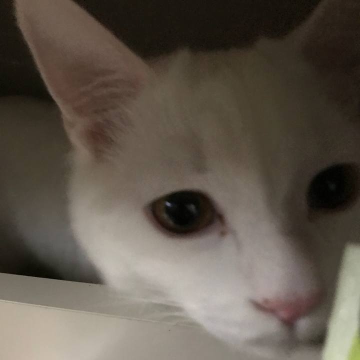 8dfda367 09d5 434e 8bae ab75fbb47755 1516450751418