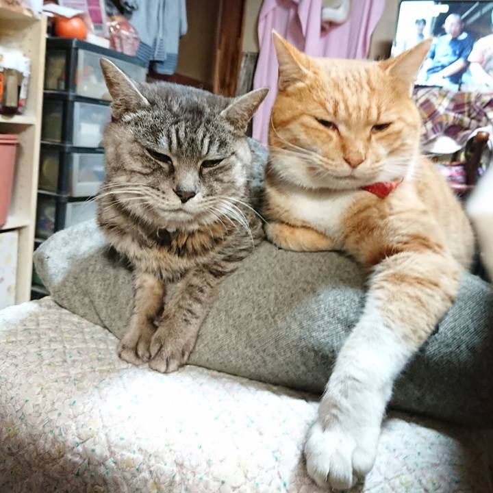 8dfdf906 b122 4ed3 9e39 1d4b8ae80999 1575708797977