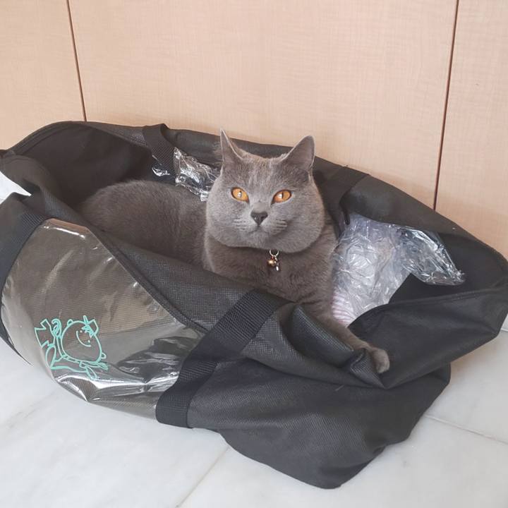 8dfe3f3e 1f17 4c98 bb2e a6963bb1931b 1540959632244