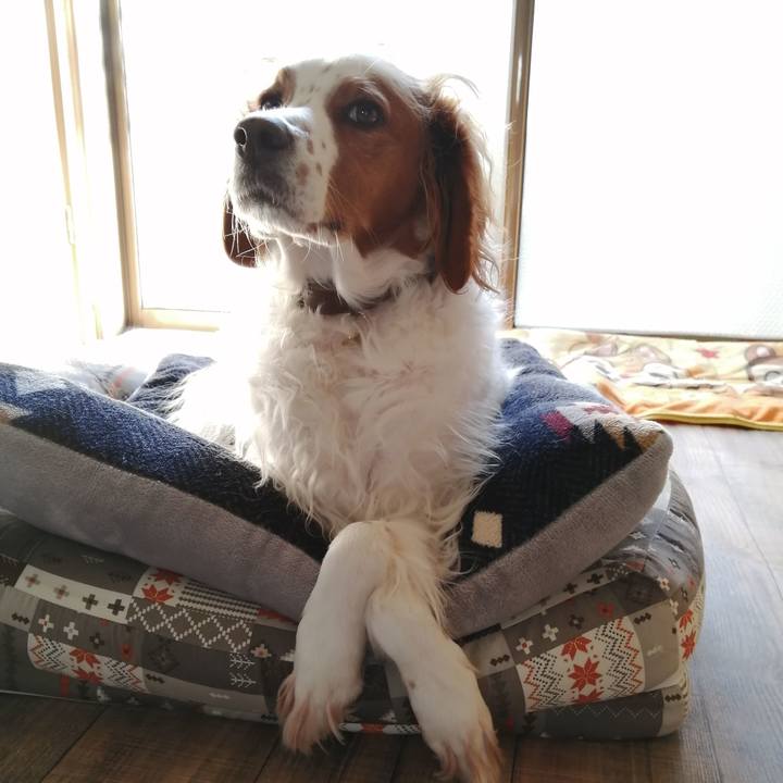 8dfe4cc8 67d2 4c9f 9159 0456621cf73f 1575423801475