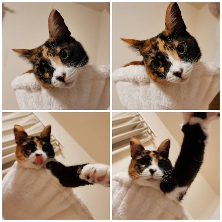 8dfe731e 229c 410b a9a2 f529bc109f3d 1640845172461