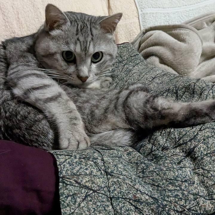 8dfe9922 70ff 4fd5 8cf7 788e8f469ef9 1746979582335