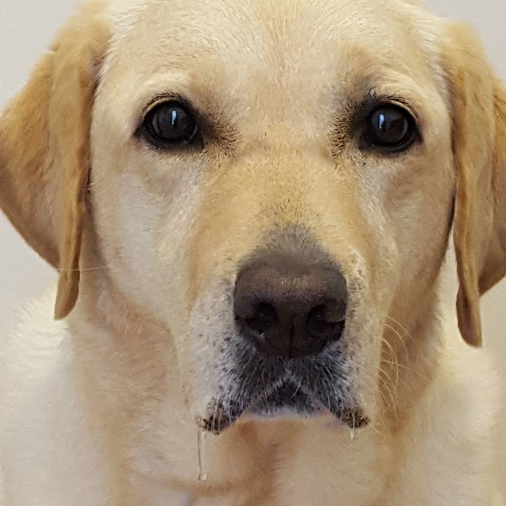 8dfecad1 3bdb 4289 8750 9565afae7b6c 1534466915274