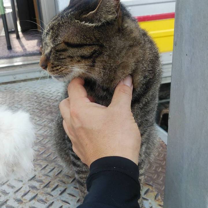 8dfecd41 d08a 4d42 abb6 86920d1a6306 1597967956952