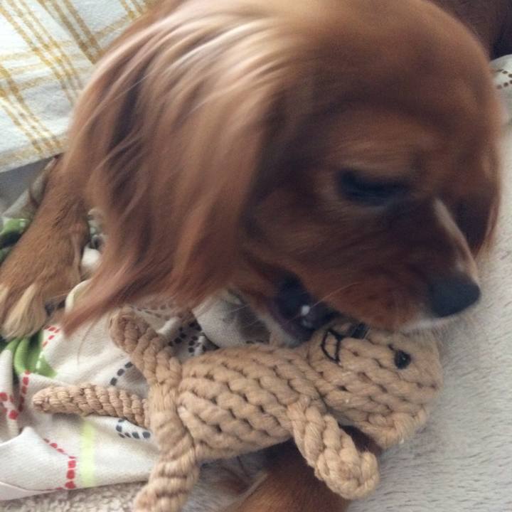 8dfed9ee 6e69 4699 bea3 dd299d6128c2 1523076732650