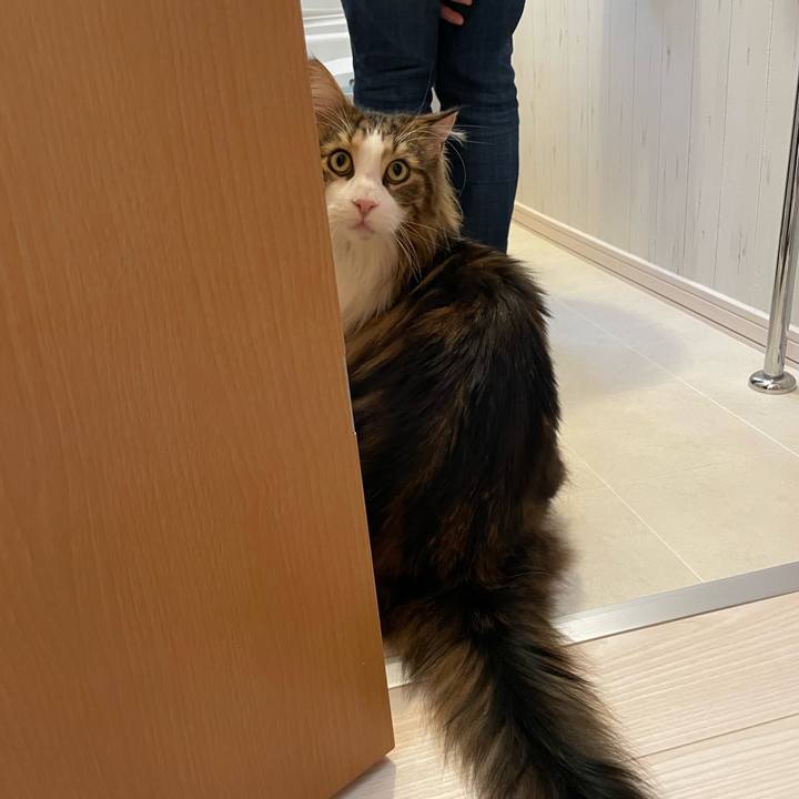 8dff2c9d 8ff0 4f53 80b3 74968efc4143 1677125863718