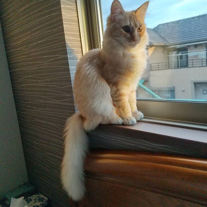 8dff4119 2eac 417e 8ebd 0cc37a1ef9fa 1618522951985