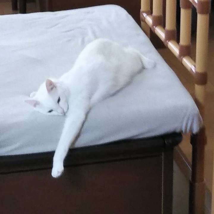 8dff5237 26ae 4ac9 a46b 19fa82edd873 1627171239728