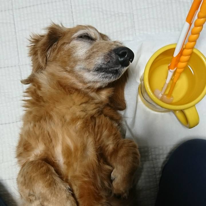 8dff6745 052c 441e 9bcd d7dacbe89e5d 1508519741825