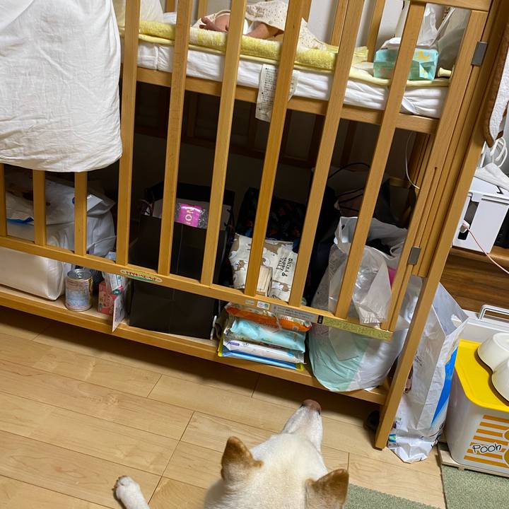 8dff8820 558a 4506 a3e6 7dce4761a2c1 1601520983441