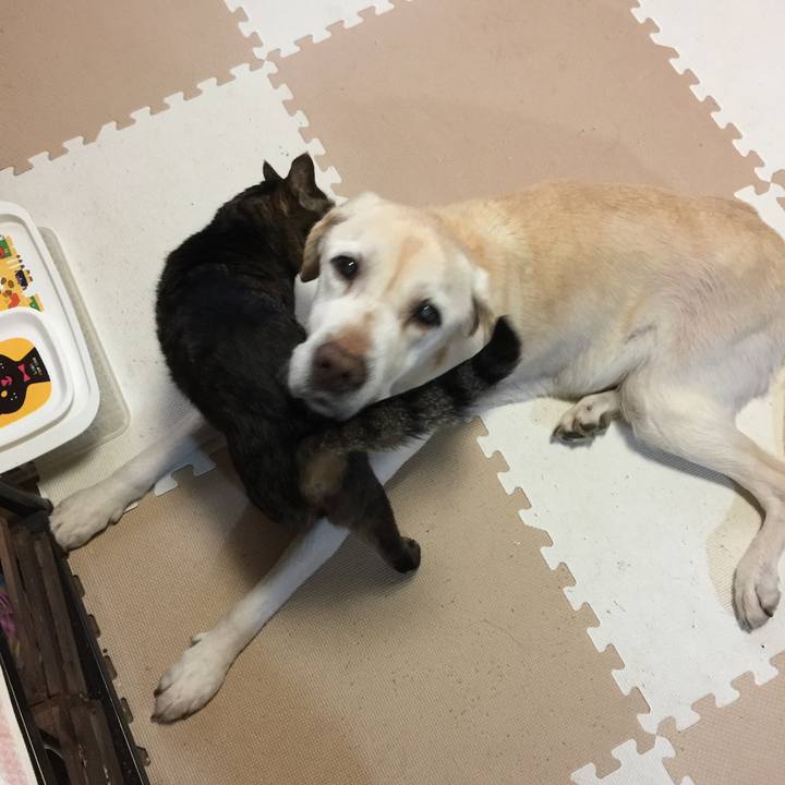 8dff8892 dbab 4123 95d3 979ac00d4fd2 1519110212628