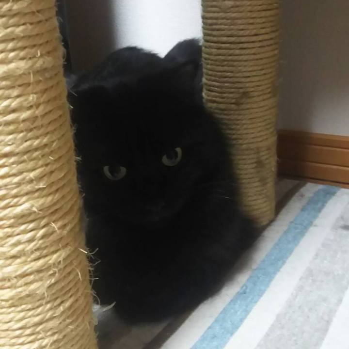 8dff9e0f a62e 4b89 a41d fb22c4e4ce7b 1512993135340