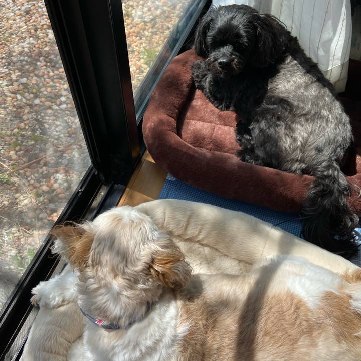 8e0046b4 739c 4a72 978c cf99e6609071 1650165558738