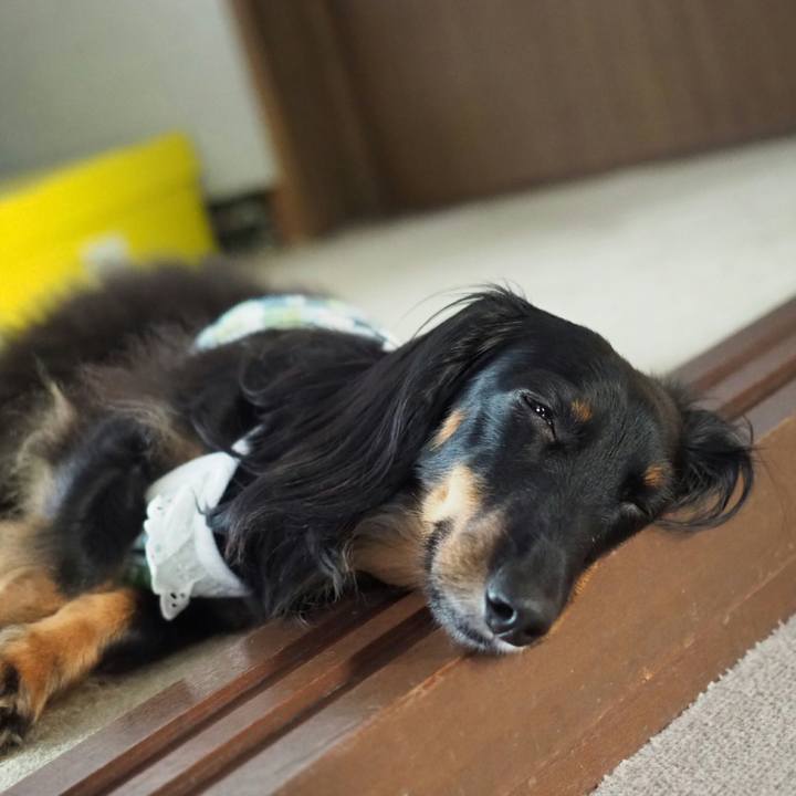 8e008a12 2a6e 403b 9ca4 e787076561fb 1533694033408