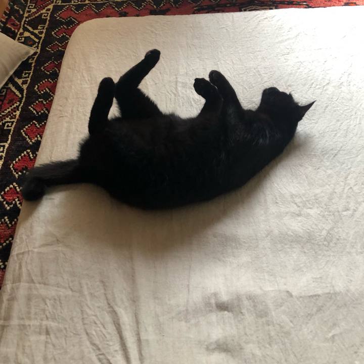 8e008cd0 9e96 4d15 966a 6de98ac4b370 1559372616391