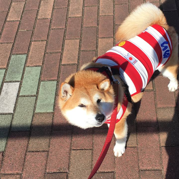 8e00a7fd 4929 4e04 9515 2e0ef887ffaa 1609993426742