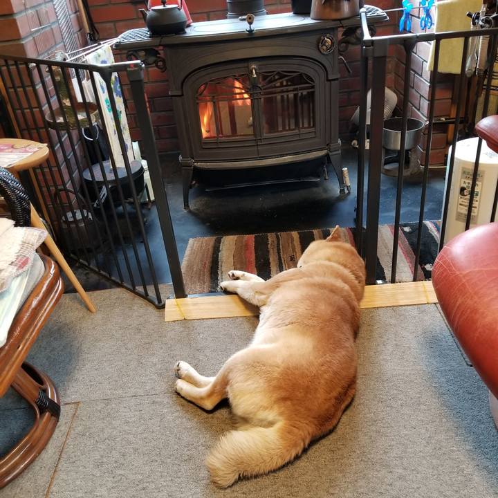 8e00a83b d025 414d a2ec 63efbd6af213 1649371395583