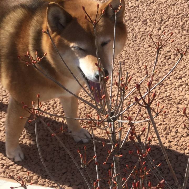 8e00bc8d f51e 4bc9 b505 34760f74cbad 1549247552843