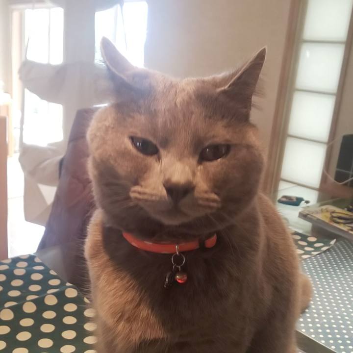 8e00d902 3222 4a85 bbe6 0321e8d72e60 1553816147005