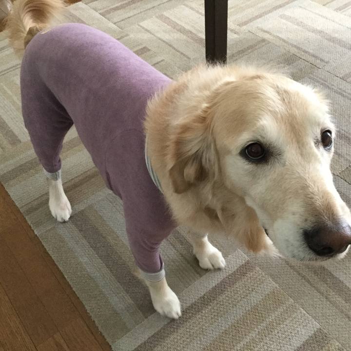 8e00dd81 8351 449b a3e8 af0fd29bb752 1545891055087