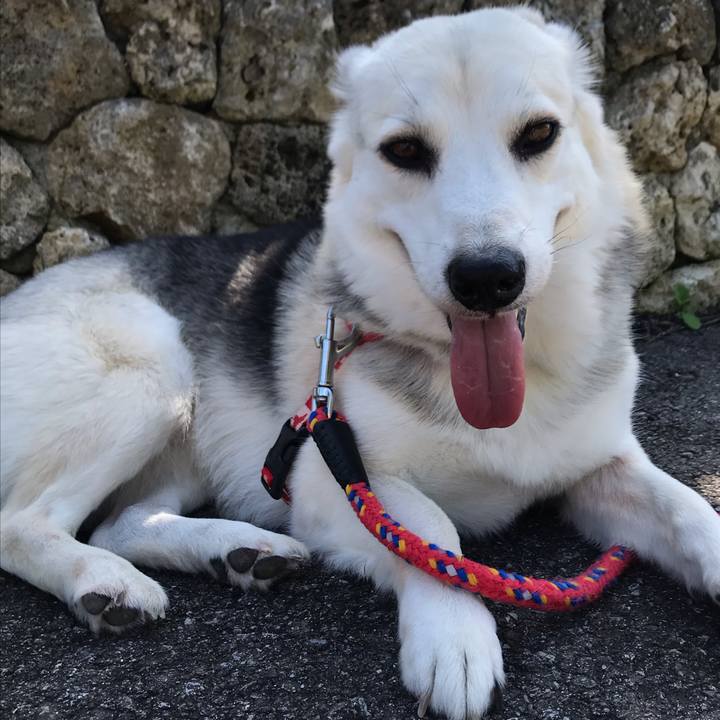 8e00e740 202b 4cca a1e6 b9d44b693980 1581034987689