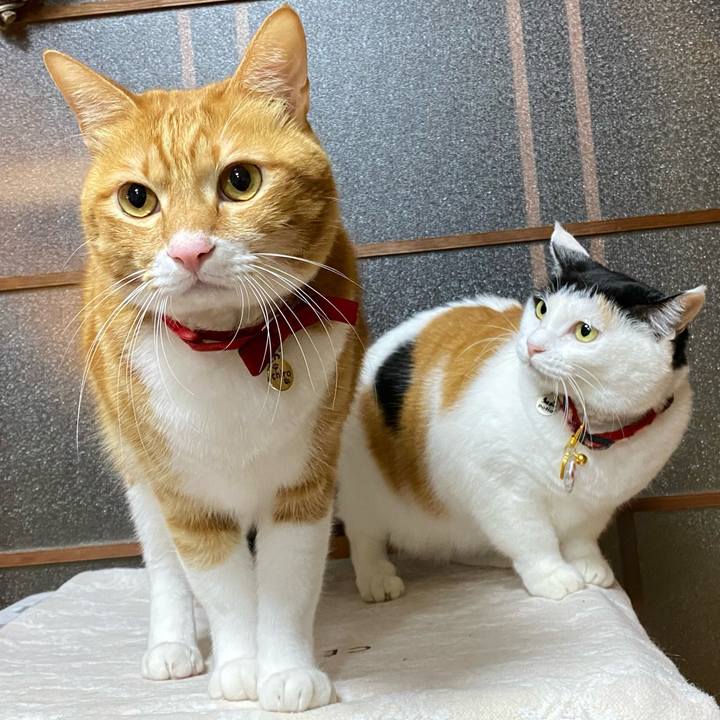 8e017e8c 893c 4eda b565 9f09de69a1af 1706084909607