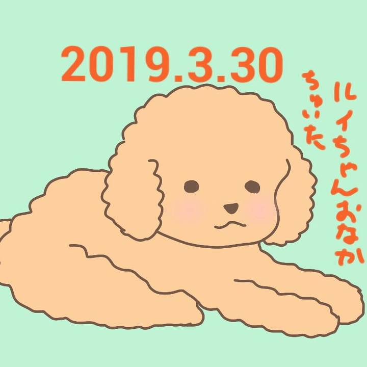 8e019bfd 60de 4a2d 9026 ca70ab0d534b 1553938457026
