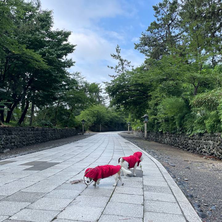 8e01aa6d 1578 408b 826c d2d41c62912f 1688943654358