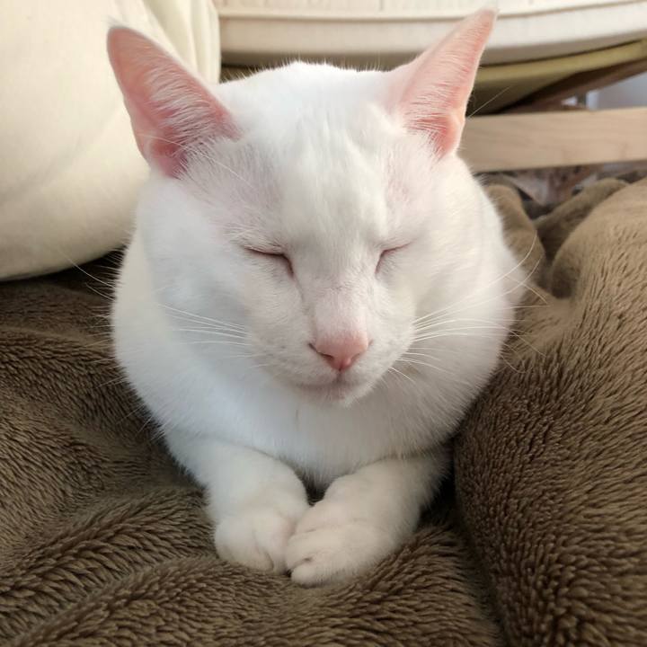 8e01bec2 59ac 4802 8461 33e8bcf5631e 1515470578510