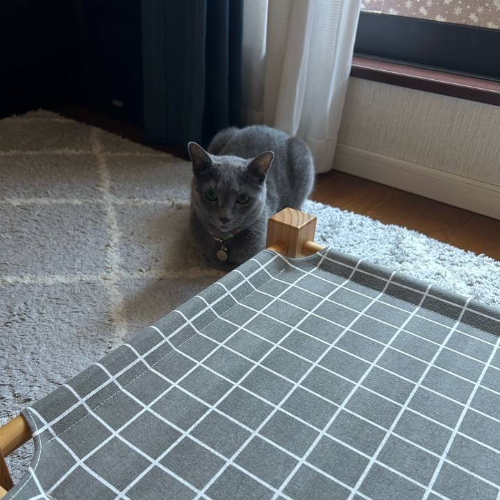 8e01c5d8 776c 47bc 86eb c7f896c77736 1726813778497