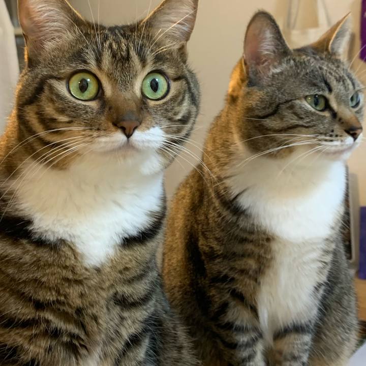 8e01c7c1 726e 45af bc53 7bedcaa423fb 1651668746201