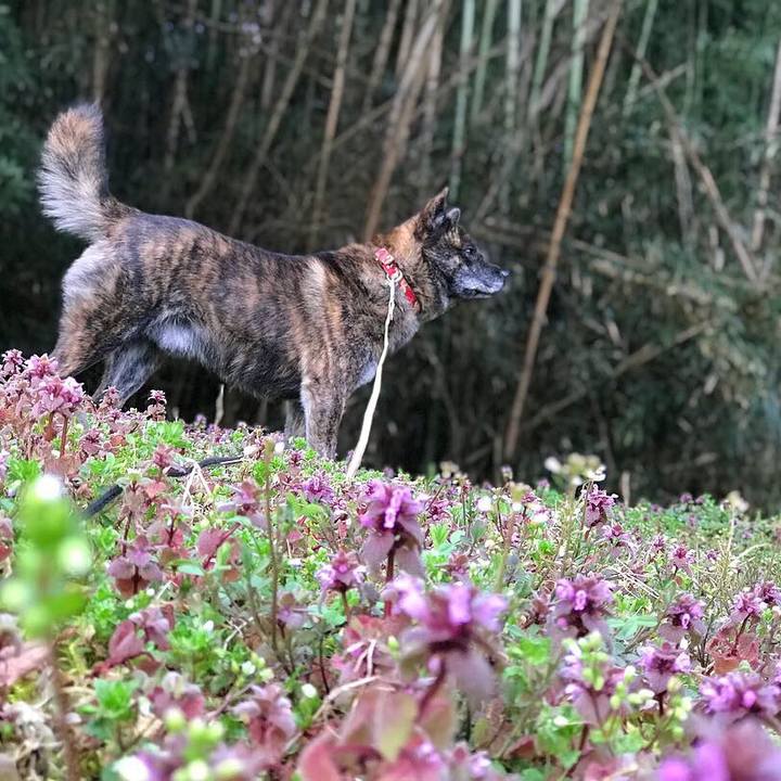 8e01e996 1979 409d af9f b08f3aca26a7 1552351736883