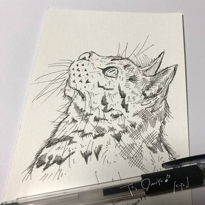 8e020070 ba5a 4d79 96c3 04c7f65ef0b1 1646349562317