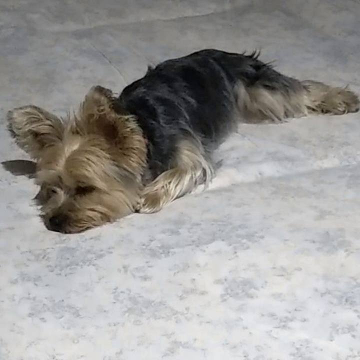 8e02022e e199 4373 879a e41f106d5a5b 1561555812839