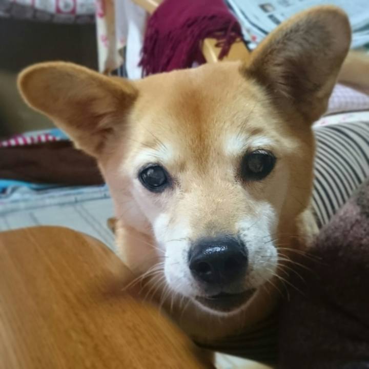 8e022d69 6d7a 476f b05e f73c78276522 1550937966262