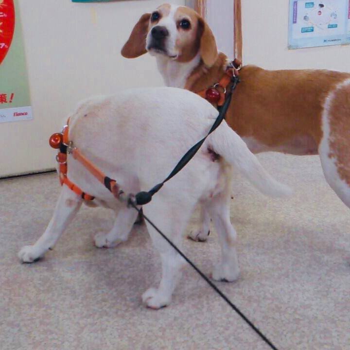 8e025dac 043b 4605 9b22 782c875a6171 1569904875800