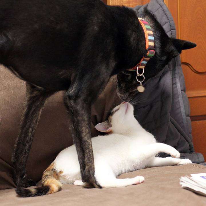 8e027aec f57e 4dcc a8cf 675de76bc9ad 1551485600950