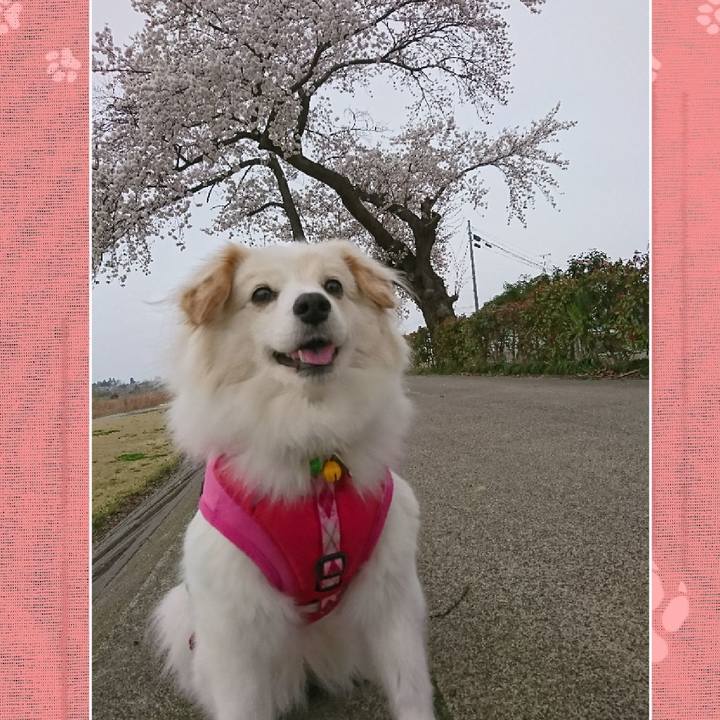 8e02d48b 75d6 4f86 8f86 41291d33a0d2 1522705740551