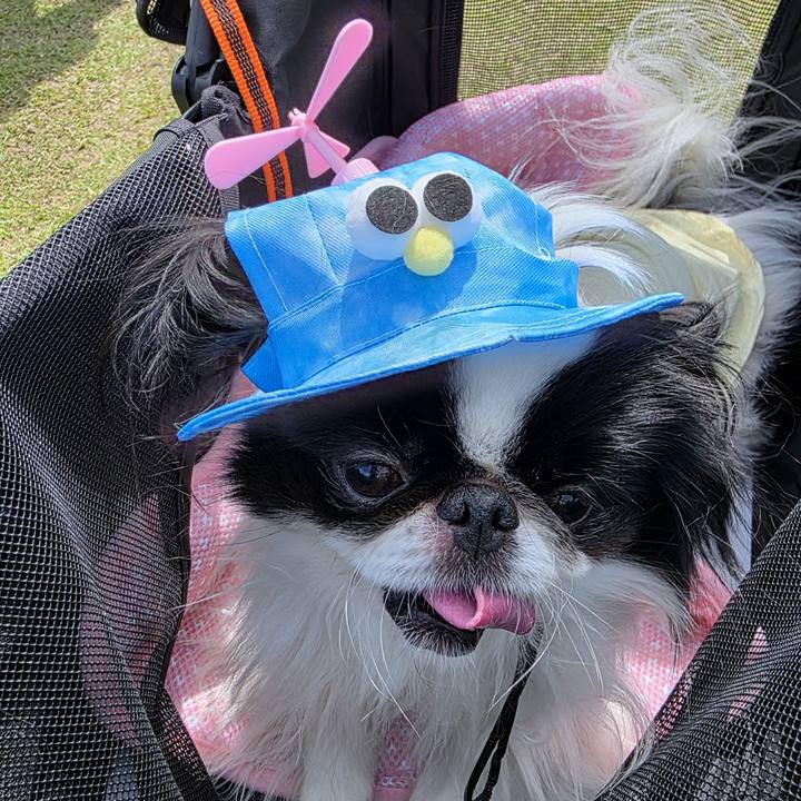 8e02f794 2865 4d88 a135 8878ff3cb74b 1746942315384