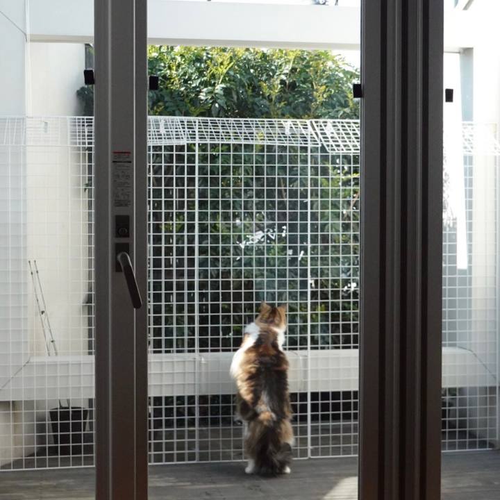 8e02ffc8 cb16 4f8a a775 1d258096606b 1668658415791