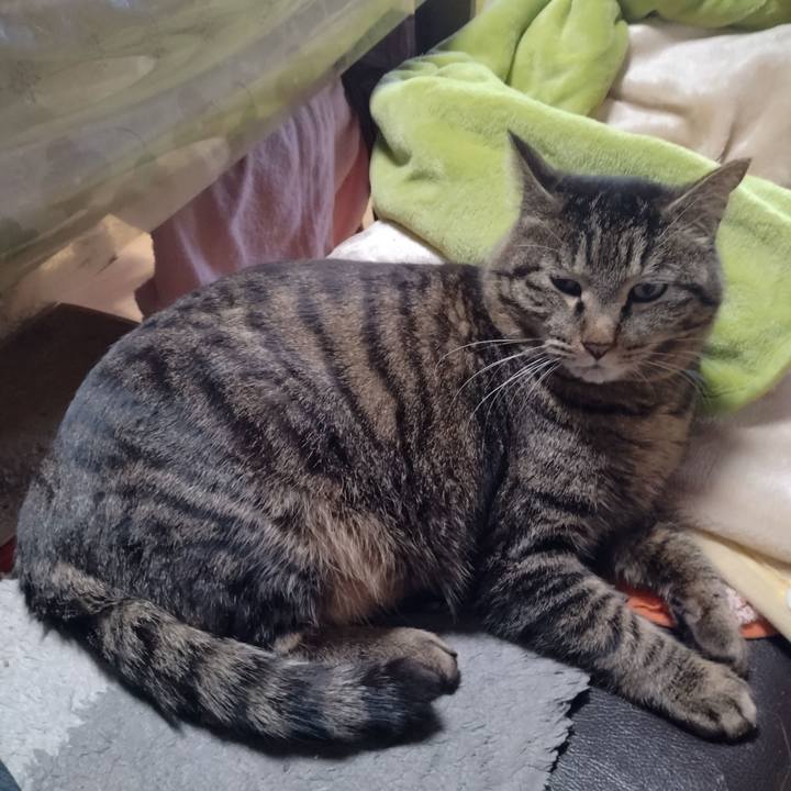 8e033eab 41cf 4625 a639 b31f82c2638b 1677972045044