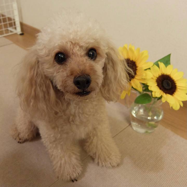 8e035e2c 8243 47ae 823b 87af5763a571 1627988407849