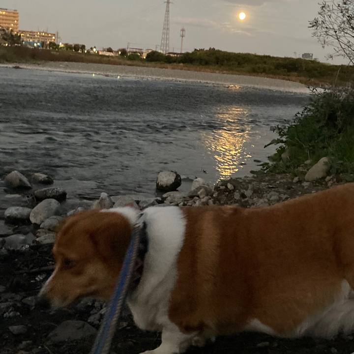 8e036565 45c4 4a4a 83ad 8176786d457e 1667950367964