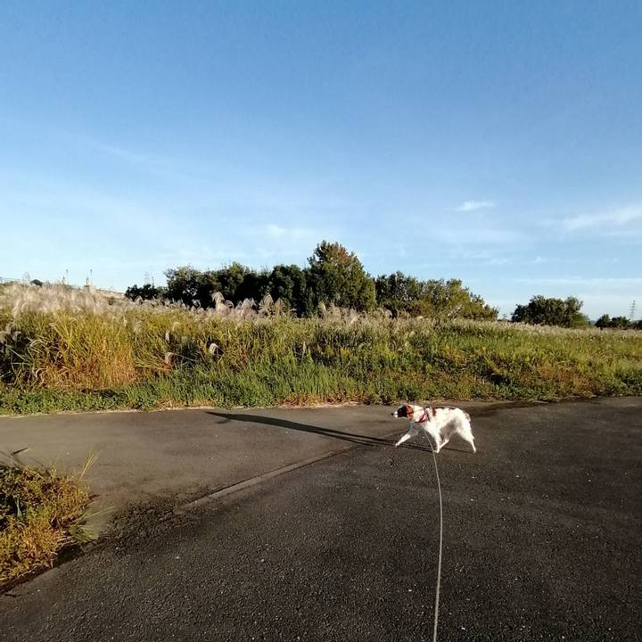 8e0387e8 0b86 4d0a 9f98 0da95518b871 1572652427697